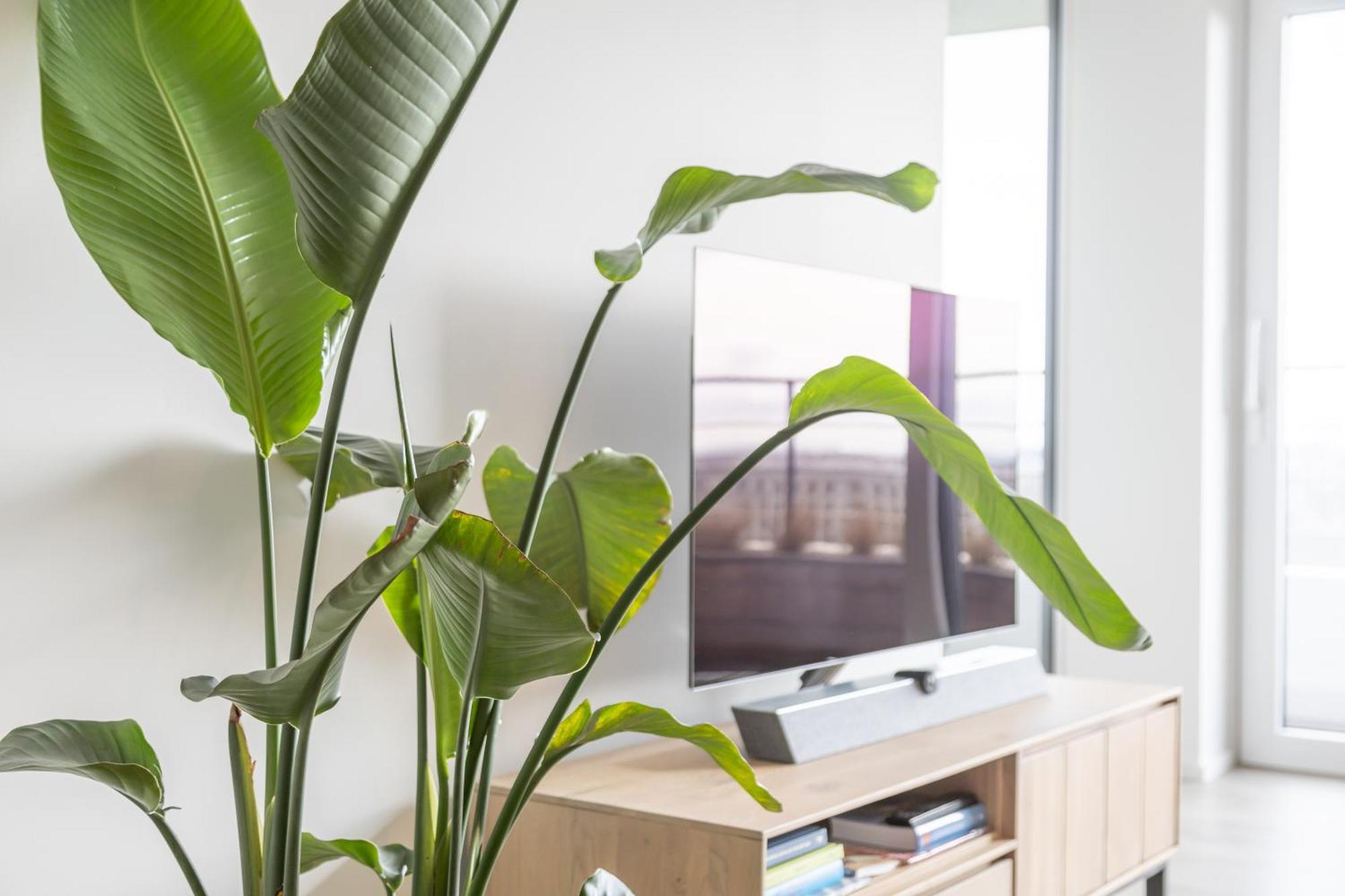 Appartement Waves 6 06-05